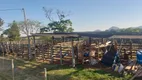 Foto 5 de Fazenda/Sítio com 4 Quartos à venda, 242000m² em Zona Rural, Santo Antônio da Alegria