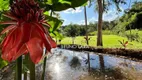 Foto 8 de Casa de Condomínio com 4 Quartos à venda, 341m² em Condomínio Fazenda Solar, Igarapé