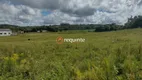 Foto 37 de Fazenda/Sítio com 3 Quartos à venda, 300000000m² em Cascata, Pelotas