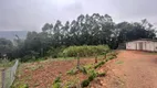 Foto 3 de Fazenda/Sítio com 2 Quartos à venda, 77m² em Pinhal Alto, Nova Petrópolis