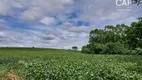 Foto 3 de Fazenda/Sítio à venda, 100000m² em Parque dos Ipês, Holambra