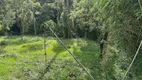 Foto 11 de Lote/Terreno à venda, 20000m² em Rural, Rio Rufino