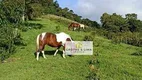 Foto 14 de Fazenda/Sítio com 3 Quartos à venda, 123m² em Zona Rural, Cunha