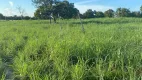 Foto 13 de Fazenda/Sítio à venda em Zona Rural, São Valério da Natividade