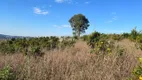 Foto 6 de Lote/Terreno à venda, 100000m² em Vale dos Vinhedos, Bento Gonçalves