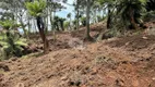 Foto 6 de Lote/Terreno à venda, 20000m² em Centro, Rio Rufino