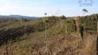 Foto 12 de Lote/Terreno à venda, 2529074m² em Itambezinho, Campo Largo