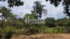 Foto 22 de Fazenda/Sítio com 4 Quartos à venda, 300m² em Panorama, Uberlândia