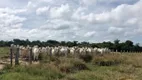 Foto 16 de Fazenda/Sítio com 12 Quartos à venda, 12000m² em Centro, Tocantins