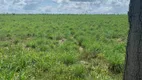 Foto 9 de Fazenda/Sítio com 2 Quartos à venda, 2030000m² em Promissao, Paragominas