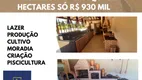 Foto 48 de Fazenda/Sítio com 5 Quartos à venda, 700m² em Ponte Alta Norte, Brasília