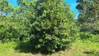 Foto 55 de Fazenda/Sítio com 3 Quartos à venda, 300m² em Manoel Ribeiro, Maricá