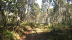 Foto 12 de Fazenda/Sítio com 1 Quarto à venda, 1m² em Zona Rural, Campo Alegre