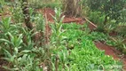 Foto 13 de Fazenda/Sítio à venda, 1000m² em Portal das Torres, Maringá