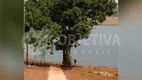 Foto 19 de Fazenda/Sítio com 3 Quartos à venda, 90m² em Chacara Represa de Miranda, Uberlândia