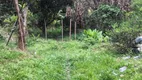 Foto 8 de Fazenda/Sítio com 3 Quartos à venda, 5000m² em Vale das Esmeraldas, Esmeraldas