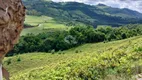 Foto 9 de Fazenda/Sítio com 1 Quarto à venda, 32000m² em Faria Lemos, Bento Gonçalves