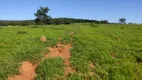 Foto 16 de Fazenda/Sítio à venda em Centro, Ribeirãozinho