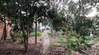 Foto 3 de Lote/Terreno à venda, 1m² em Belém Novo, Porto Alegre