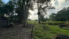 Foto 2 de Fazenda/Sítio com 3 Quartos à venda, 1600m² em Penha, Paulo Lopes