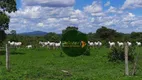 Foto 6 de Fazenda/Sítio com 3 Quartos à venda, 25250000m² em Zona Rural, Porangatu