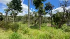 Foto 3 de Lote/Terreno à venda, 4200m² em Curral, Ibiúna