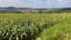 Foto 24 de Fazenda/Sítio com 3 Quartos à venda, 85m² em Zona Rural, Campina do Monte Alegre