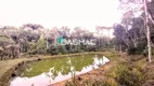 Foto 22 de Fazenda/Sítio com 4 Quartos à venda, 150m² em Campestre da Faxina, São José dos Pinhais