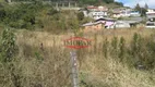 Foto 3 de Lote/Terreno à venda, 2450m² em Centenário, Caxias do Sul