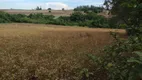 Foto 15 de Fazenda/Sítio com 4 Quartos à venda, 72600m² em Zona Rural, Ibiporã