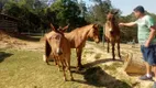 Foto 2 de Fazenda/Sítio com 3 Quartos à venda, 180000m² em Centro, Capivari