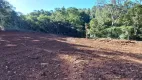 Foto 10 de Fazenda/Sítio à venda, 30000m² em Zona Rural, Pato Branco