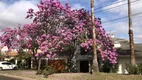 Foto 25 de Casa de Condomínio com 5 Quartos à venda, 790m² em Loteamento Alphaville Campinas, Campinas