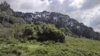 Foto 6 de Fazenda/Sítio à venda, 54700m² em Zona Rural, Marmelópolis