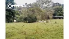 Foto 5 de Fazenda/Sítio à venda, 890000m² em Zona Rural, Pariquera-Açu