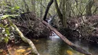 Foto 48 de Fazenda/Sítio com 2 Quartos à venda, 20000m² em , Pirenópolis