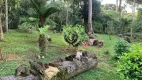 Foto 10 de Fazenda/Sítio com 4 Quartos à venda, 200m² em Campestre da Faxina, São José dos Pinhais