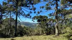 Foto 5 de Fazenda/Sítio à venda, 20000m² em Zona Rural, Urubici