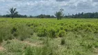 Foto 14 de Lote/Terreno com 1 Quarto à venda, 10500000m² em Zona Rural, Moju