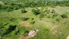Foto 12 de Fazenda/Sítio com 4 Quartos à venda, 294m² em Zona Rural, Palmeirópolis