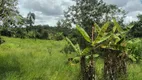 Foto 3 de Fazenda/Sítio com 4 Quartos à venda, 31000m² em Zona Industrial, Brasília