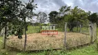 Foto 11 de Fazenda/Sítio à venda, 1781m² em Zona Rural, Piracanjuba