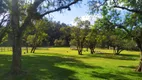 Foto 13 de Fazenda/Sítio à venda, 39000m² em JARDIM CECILIA, Campo Magro