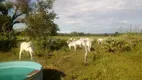 Foto 8 de Fazenda/Sítio à venda, 18440000m² em Centro, Nova Lima