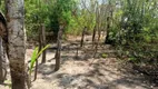 Foto 24 de Fazenda/Sítio com 2 Quartos à venda, 33m² em Zona Rural, Colinas do Sul