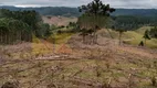 Foto 23 de Fazenda/Sítio à venda, 59000m² em Alto Cedros, Rio dos Cedros