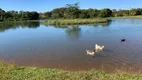 Foto 48 de Fazenda/Sítio com 3 Quartos para venda ou aluguel, 1810m² em Zona Rural, Bela Vista de Goiás