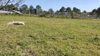 Foto 6 de Lote/Terreno à venda em , Aracoiaba da Serra