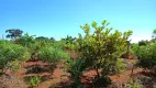 Foto 6 de Lote/Terreno à venda, 2010m² em , Santo Antônio de Goiás