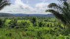 Foto 7 de Fazenda/Sítio à venda em , São Félix do Xingu